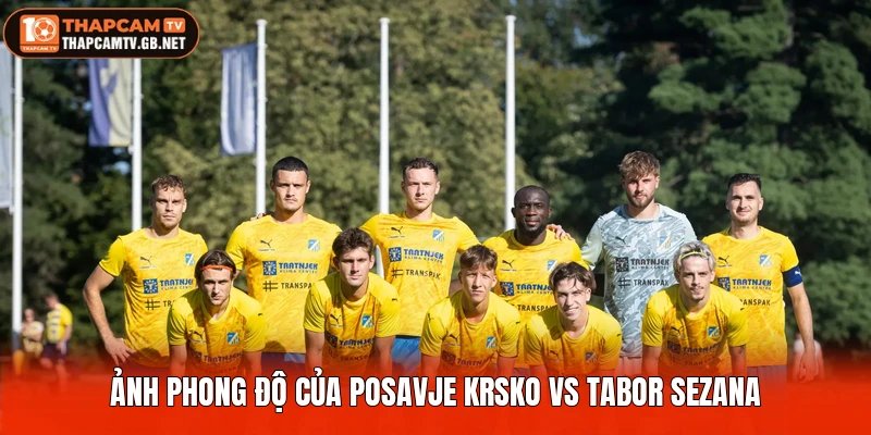 Ảnh phong độ của Posavje Krsko vs Tabor Sezana