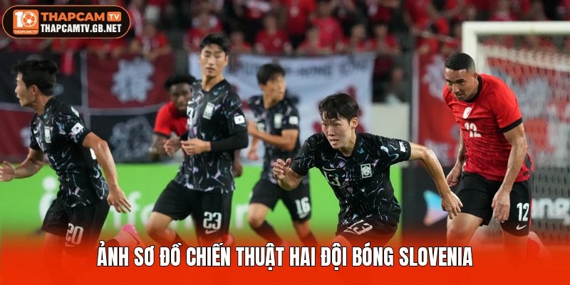 Ảnh sơ đồ chiến thuật hai đội bóng Slovenia