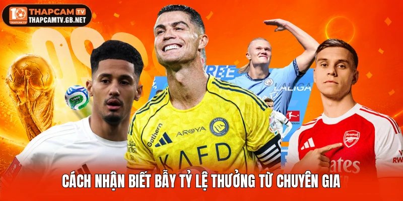 Cách nhận biết bẫy tỷ lệ thưởng từ chuyên gia