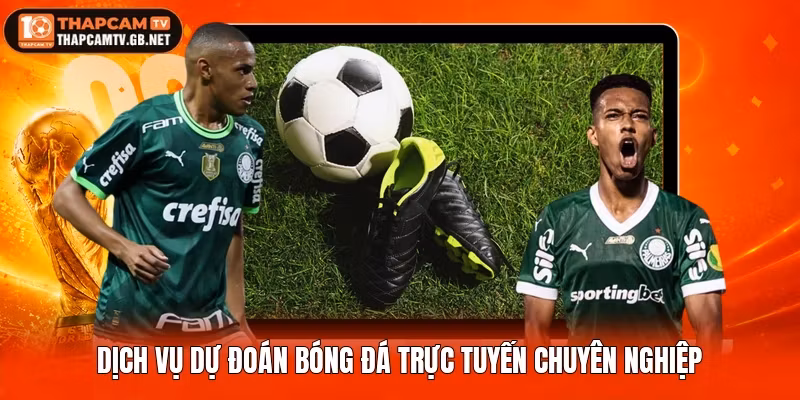 Dịch vụ dự đoán bóng đá trực tuyến chuyên nghiệp