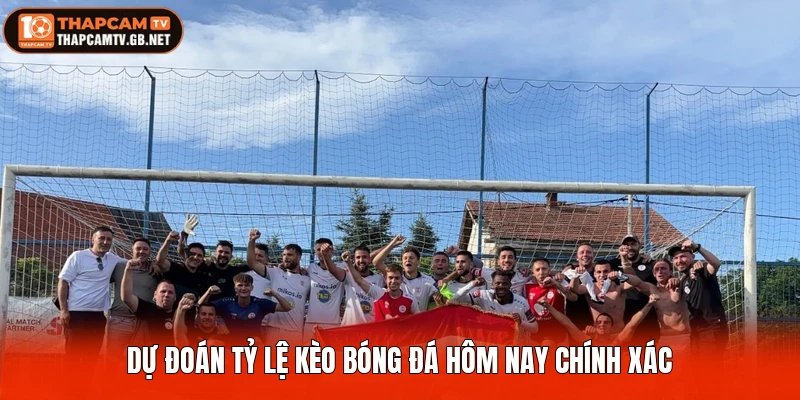 Dự đoán tỷ lệ kèo bóng đá hôm nay chính xác