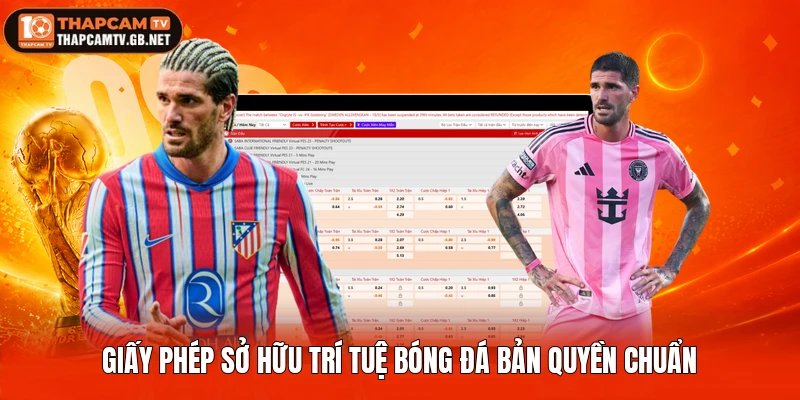Giấy phép sở hữu trí tuệ bóng đá bản quyền chuẩn