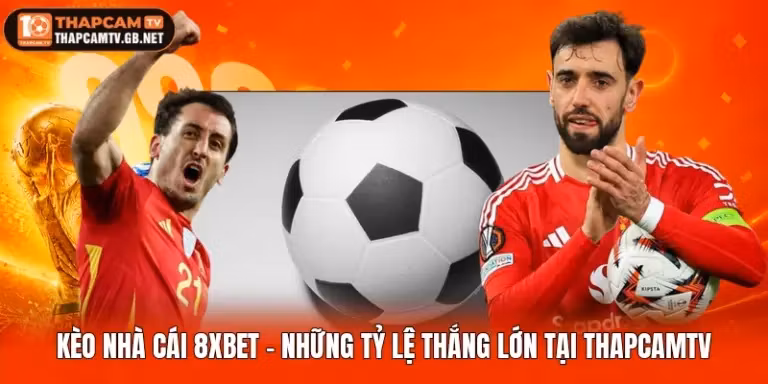 Kèo Nhà Cái 8xbet - Những Tỷ Lệ Thắng Lớn Tại Thapcamtv