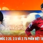 Kèo Tài Xỉu - Mốc 2.25, 2.5 Và 2.75 Phân Biệt Tại Thapcamtv