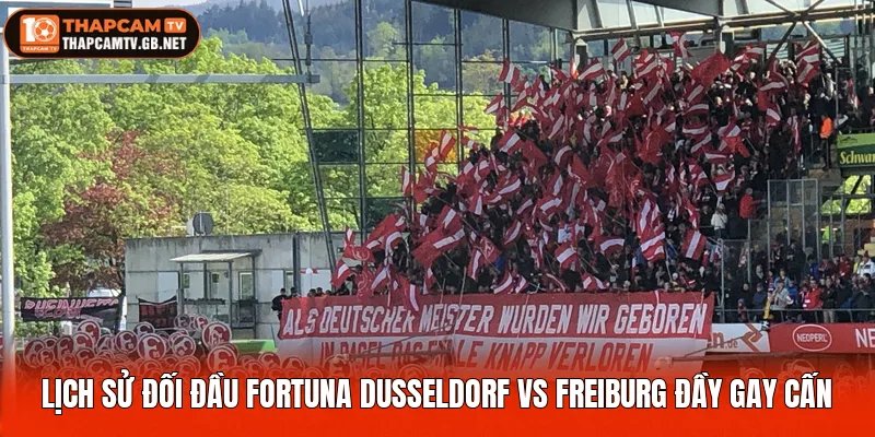 Lịch sử đối đầu Fortuna Dusseldorf vs Freiburg đầy gay cấn