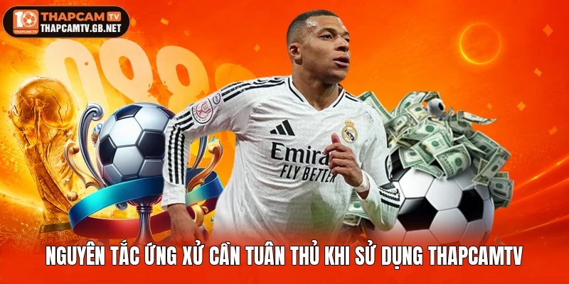Nguyên tắc ứng xử cần tuân thủ khi sử dụng Thapcamtv