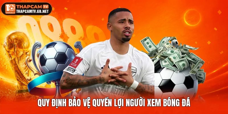 Quy định bảo vệ quyền lợi người xem bóng đá