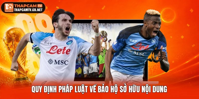 Quy định pháp luật về bảo hộ sở hữu nội dung