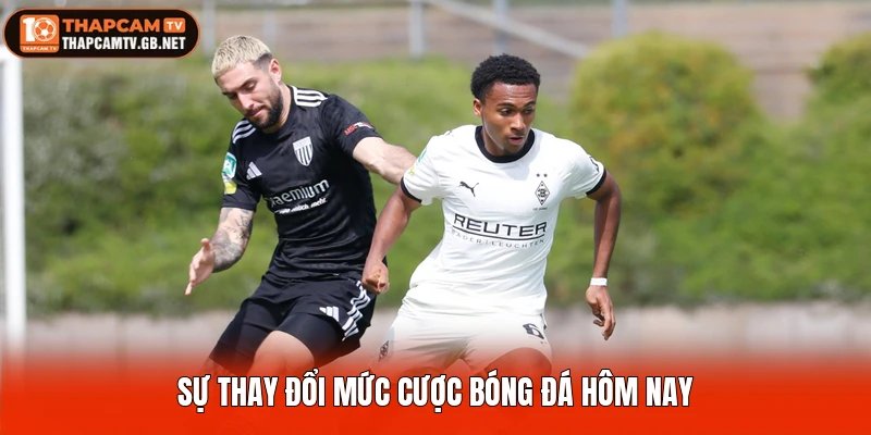 Sự thay đổi mức cược bóng đá hôm nay