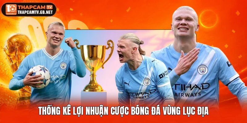 Thống kê lợi nhuận cược bóng đá vùng lục địa