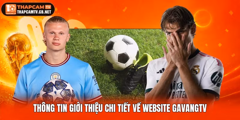 Thông tin giới thiệu chi tiết về website Gavangtv