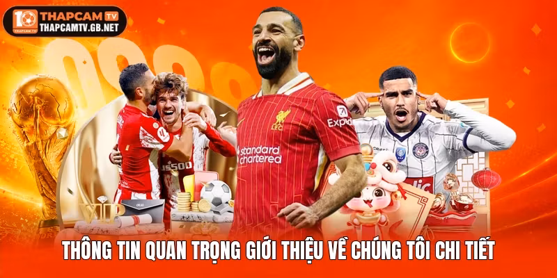 Thông tin quan trọng giới thiệu về chúng tôi chi tiết