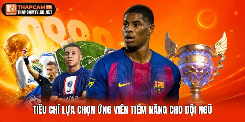 Tiêu chí lựa chọn ứng viên tiềm năng cho đội ngũ