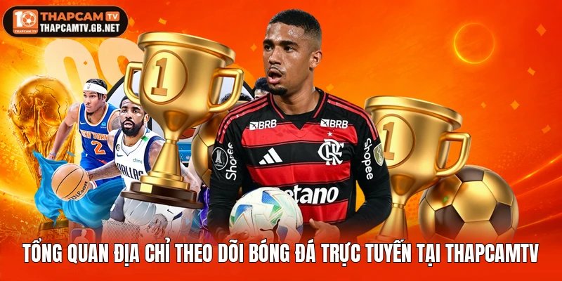 Tổng quan địa chỉ theo dõi bóng đá trực tuyến tại Thapcamtv