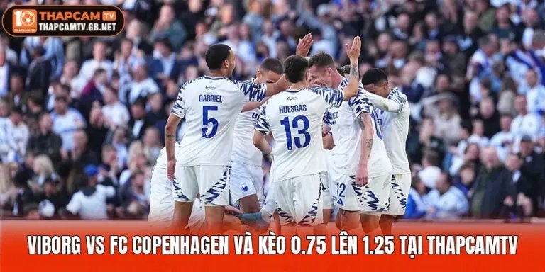 Viborg Vs FC Copenhagen Và Kèo 0.75 Lên 1.25 Tại Thapcamtv